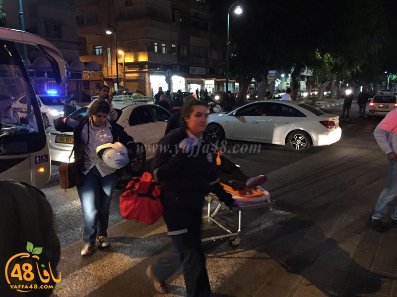 acc nozha mosqute (9).jpg